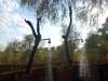 Tafika Lodge - Outdoor Shower 